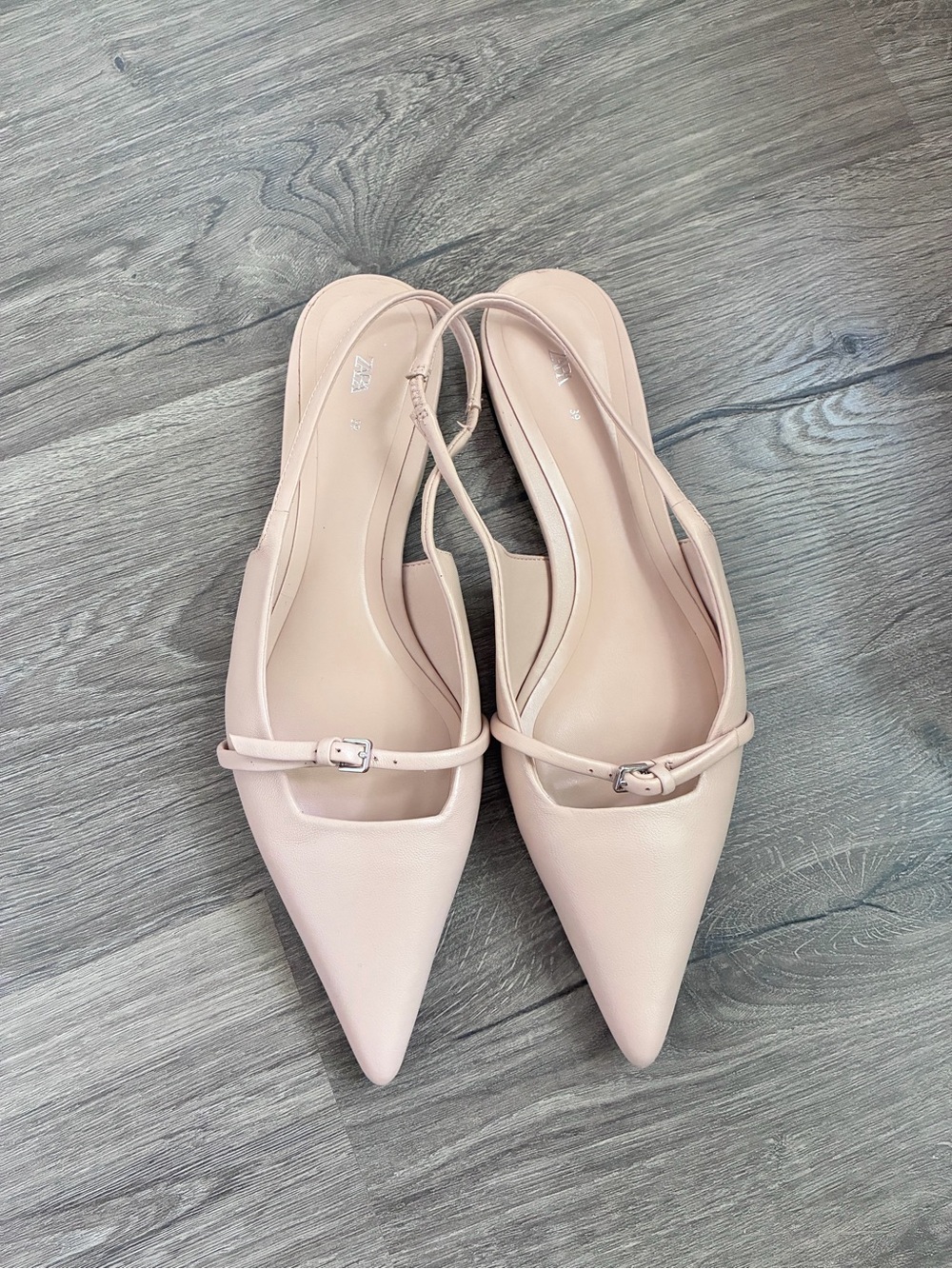 Zara Pointed Slingback Flats in Pale Pink